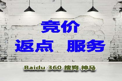 百度推广返点攻略：成功案例分享与启示